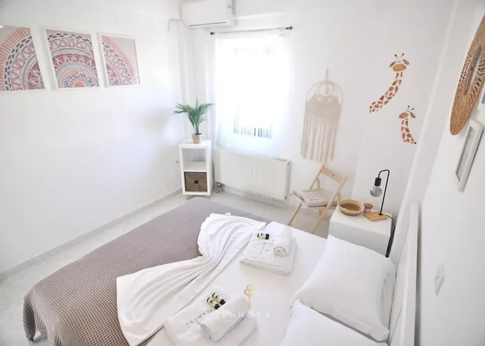 Zennova #64 Casa Elias * 니키티