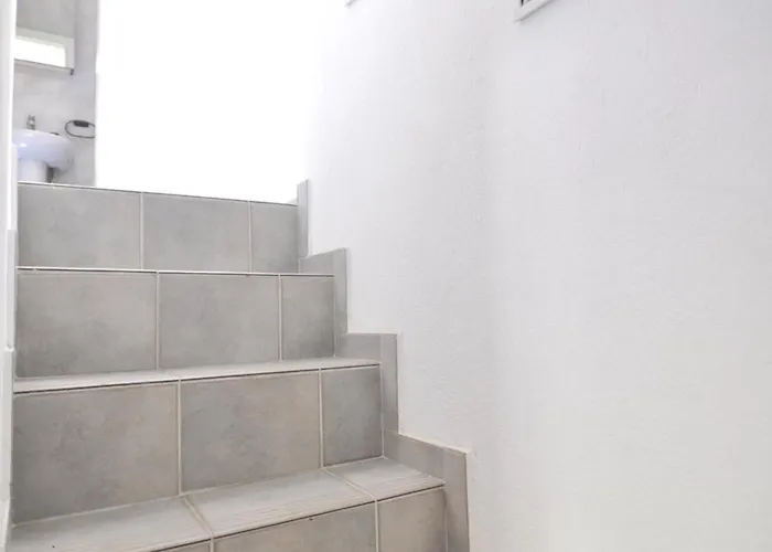 Zennova #64 Casa Elias * 니키티